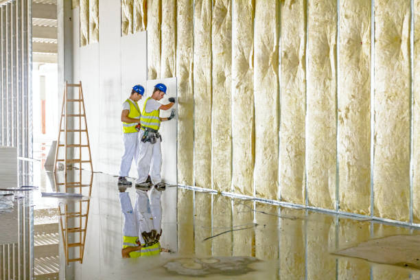 Insulation for Commercial Buildings in Arcadia, SC